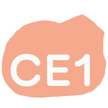 ce1
